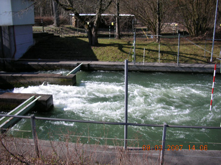 DSCN1317