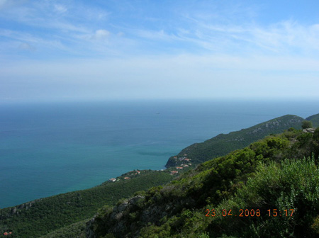 DSCN2364