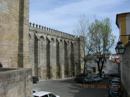 DSCN2393