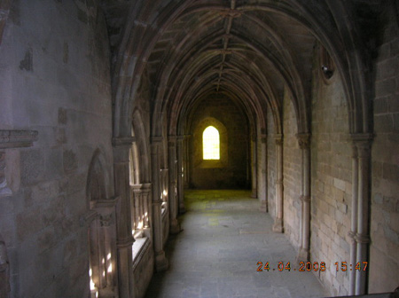 DSCN2396
