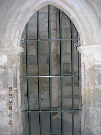 DSCN2398