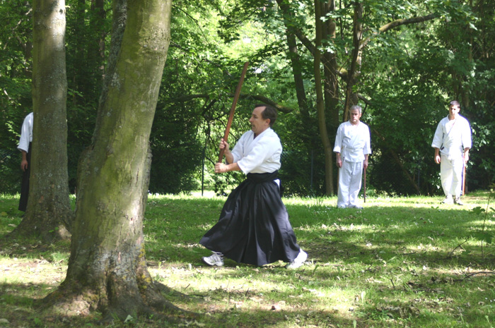 IMG_3423