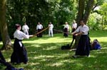 IMG_3294