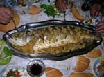 DSCN1765